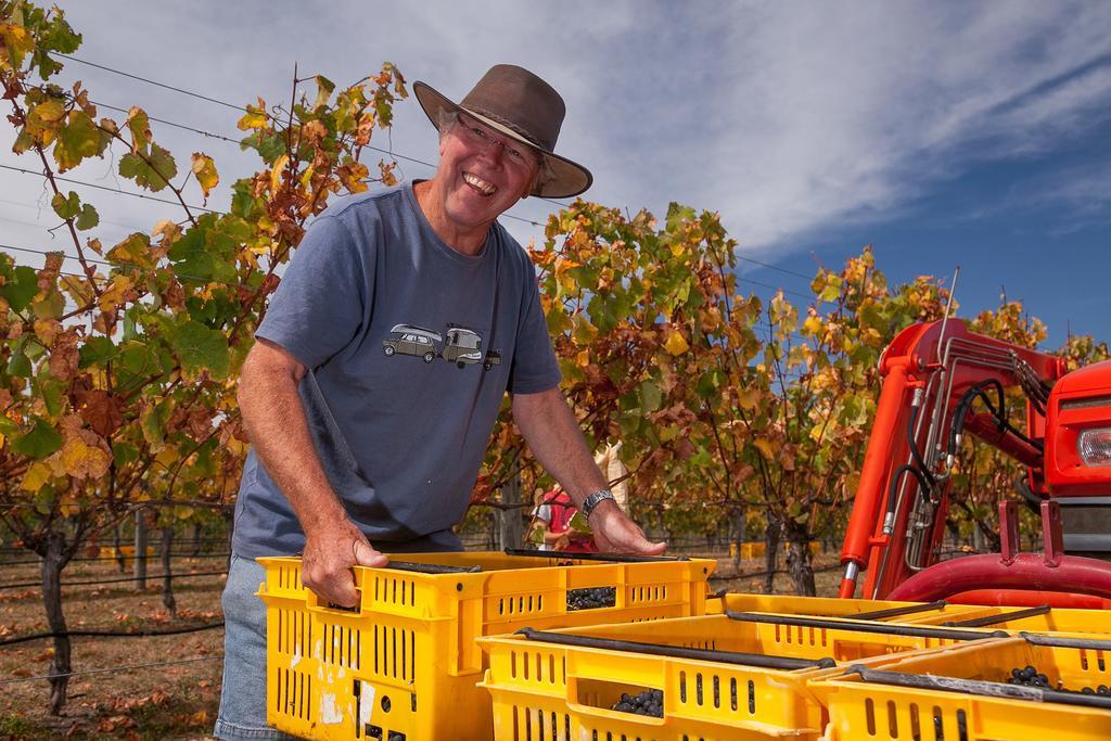 Straw Lodge Vineyard And Boutique Lodging Renwick Luaran gambar