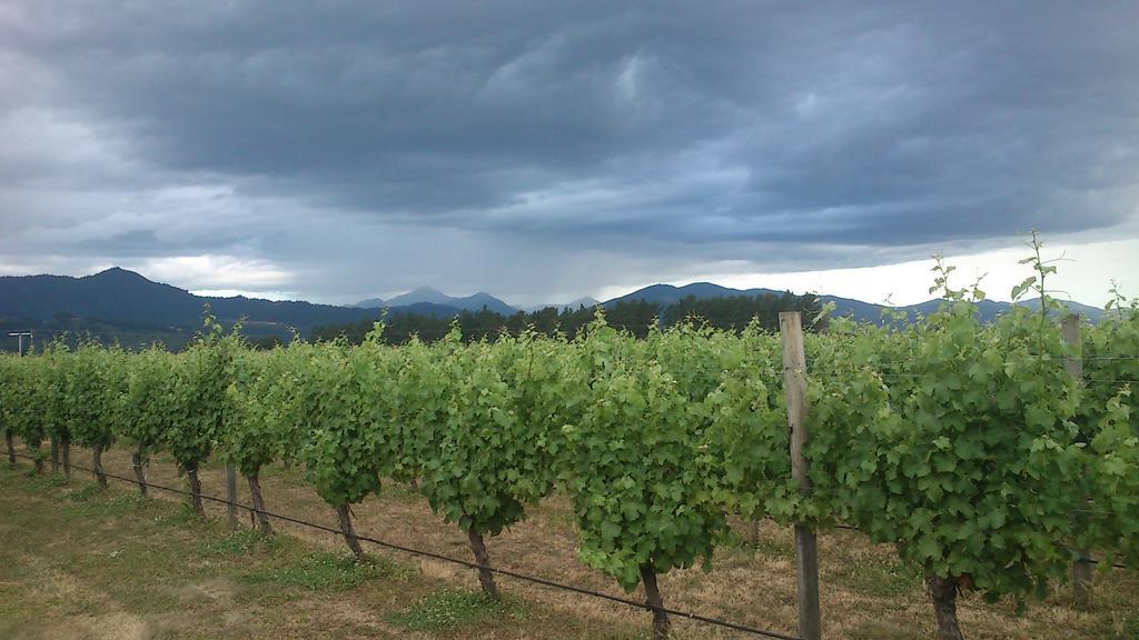 Straw Lodge Vineyard And Boutique Lodging Renwick Luaran gambar